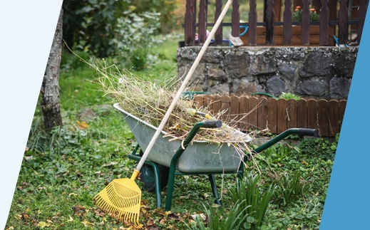 Asian family outdoors