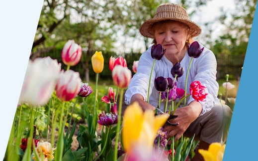 Woman in tulip garden