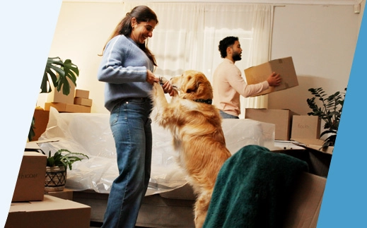 article hero image mobile